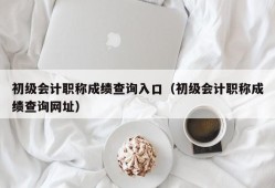 初级会计职称成绩查询入口（初级会计职称成绩查询网址）