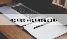 什么叫技能（什么叫技能等级证书）