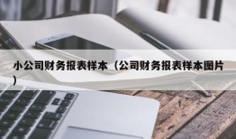 小公司财务报表样本（公司财务报表样本图片）