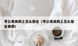 考公务员网上怎么报名（考公务员网上怎么报名缴费）