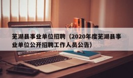 芜湖县事业单位招聘（2020年度芜湖县事业单位公开招聘工作人员公告）