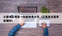 小县城公务员一年能挣多少万（公务员还是事业编好）