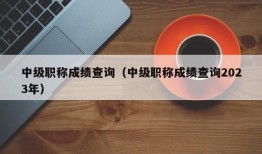 中级职称成绩查询（中级职称成绩查询2023年）