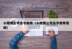 小规模公司自学做账（小规模公司自学做账视频）