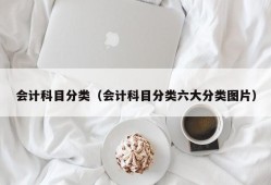 会计科目分类（会计科目分类六大分类图片）