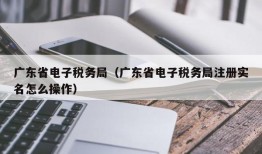 广东省电子税务局（广东省电子税务局注册实名怎么操作）