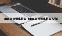 山东省选调生报名（山东省选调生报名人数）