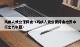 残疾人就业保障金（残疾人就业保障金缴费申报怎么申报）