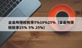 企业所得税税率5%10%25%（企业所得税税率25% 5% 25%）