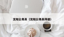 沈阳公务员（沈阳公务员待遇）