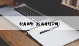 税务筹划（税务筹划公司）