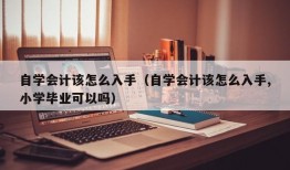 自学会计该怎么入手（自学会计该怎么入手,小学毕业可以吗）