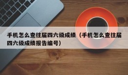 手机怎么查往届四六级成绩（手机怎么查往届四六级成绩报告编号）