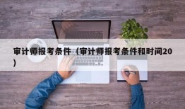 审计师报考条件（审计师报考条件和时间20）