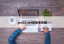 yn111.net的简单介绍