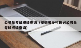 公务员考试成绩查询（安徽省乡村振兴公务员考试成绩查询）