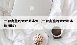 一套完整的会计账实例（一套完整的会计账实例图片）