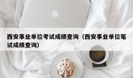 西安事业单位考试成绩查询（西安事业单位笔试成绩查询）