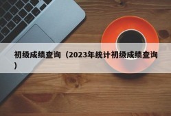 初级成绩查询（2023年统计初级成绩查询）