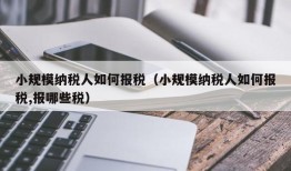 小规模纳税人如何报税（小规模纳税人如何报税,报哪些税）