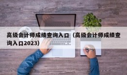 高级会计师成绩查询入口（高级会计师成绩查询入口2023）