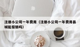 注册小公司一年费用（注册小公司一年费用县城能报销吗）