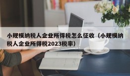 小规模纳税人企业所得税怎么征收（小规模纳税人企业所得税2023税率）