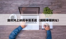 国税网上纳税申报系统（国税申报网址）