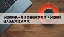 小规模纳税人免征增值税账务处理（小规模纳税人免征增值税政策）