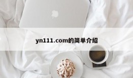 yn111.com的简单介绍