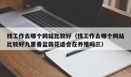 找工作去哪个网站比较好（找工作去哪个网站比较好九里香盆栽花适合在养殖吗三）