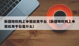 新疆地税网上申报应用平台（新疆地税网上申报应用平台是什么）