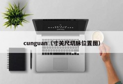 cunguan（寸关尺切脉位置图）