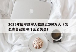 2023年国考过审人数达近260万人（怎么查自己能考什么公务员）